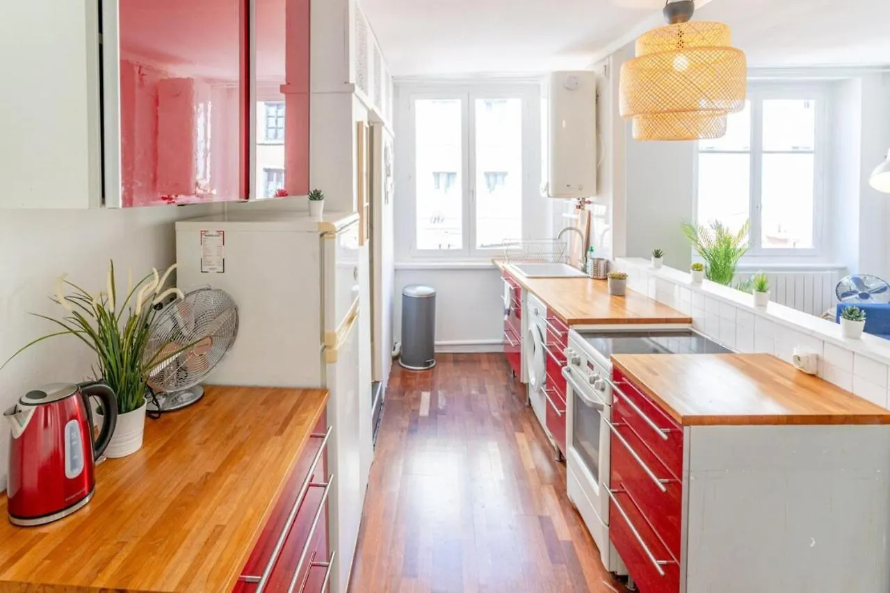 Le Petit Sathonay-Quais De Saone-Terreaux Apartment Lyon France
